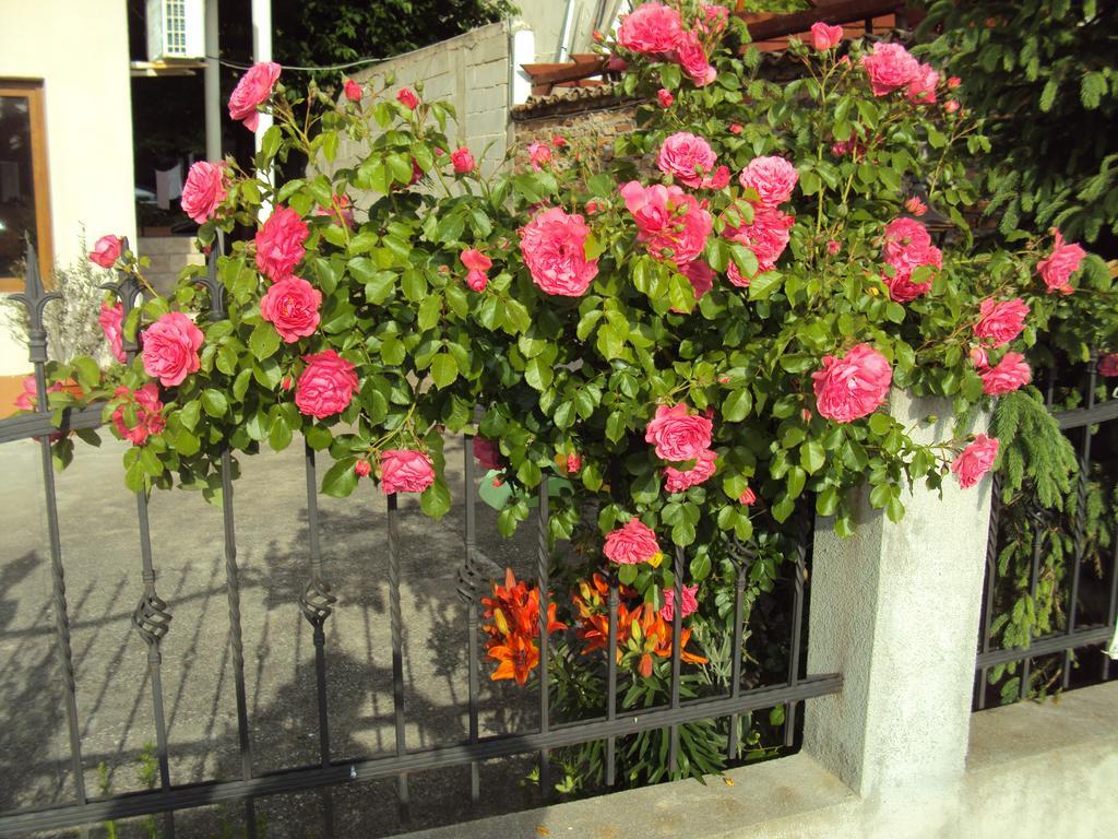 Amfora Guest House 비알라 외부 사진