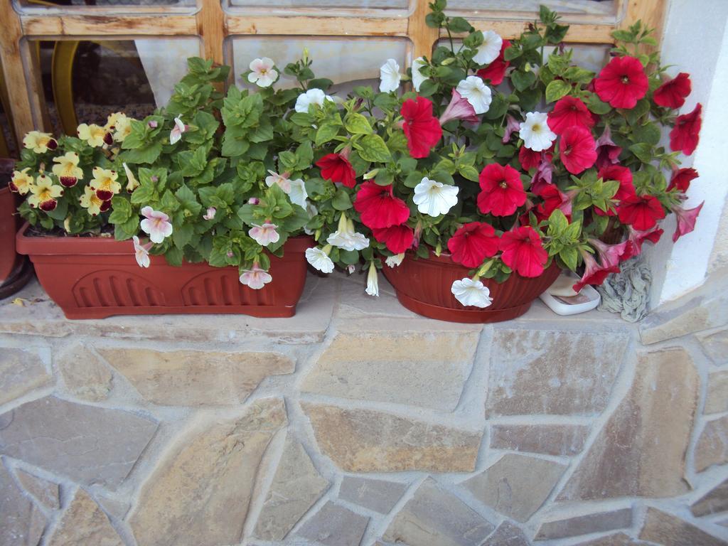 Amfora Guest House 비알라 외부 사진
