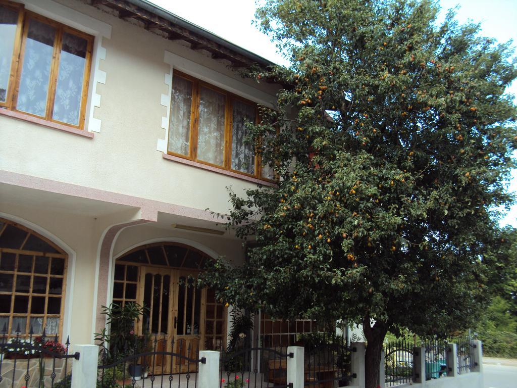 Amfora Guest House 비알라 외부 사진